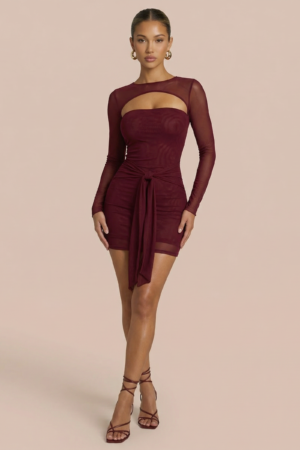 Long Sleeve Bodycon Draped Waist Mini Dress